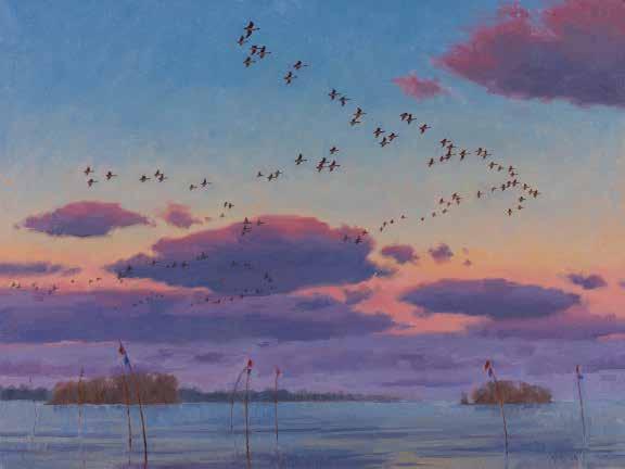 Who has not been stirred by the sight and sound of migrating geese on an Autumn evening?