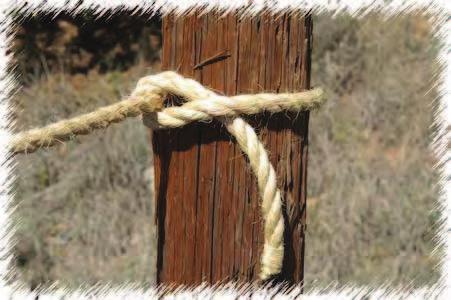 Tighten by pulling both ends in opposite directions. Half Hitch The Half Hitch is generally used for fastening to an object for a right-angle pull.