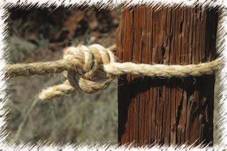 The illustration shows the Half Hitch tied with the end nipped under the turn of the rope some distance away from the standing part this method is fairly reliable for