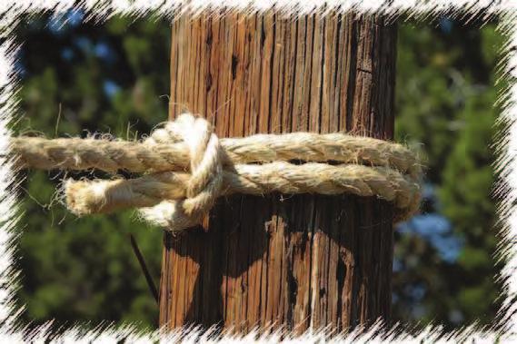 Timber Hitch The Timber Hitch is a simple convenient hitch that does not jam and is untied easily when the pull