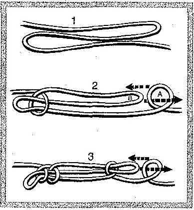 Sheepshank The sheepshank is used to shorten a rope that is fastened at both ends. 1. Take up the slack. 2.