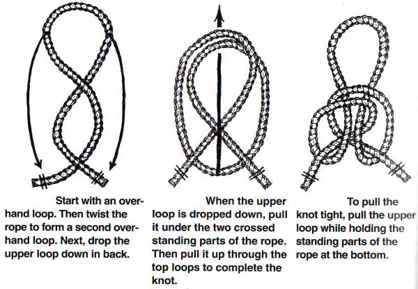 Alpine Butterfly Loop A butterfly knot is a fixed loop tied in the middle of a rope.