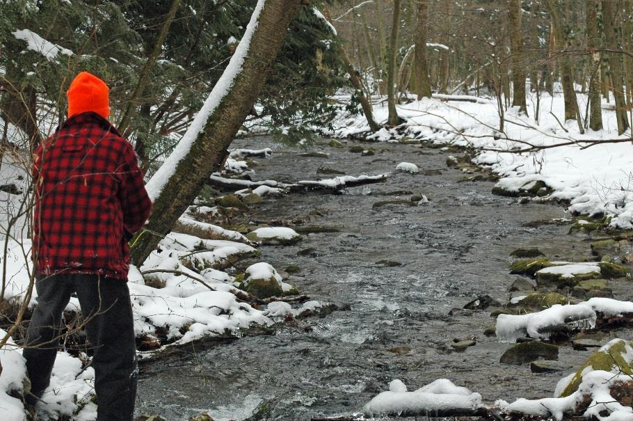 Recruit technicians and/or specialists who have an interest in brook trout or conservation in