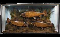 , Caught by Frederick Buller, May 24 th 1991, green painted backboard, 33½ wide (see illustration) 500-800 Other properties 318 A pottery model of a salmon, naturalistically modelled in swimming pose