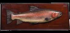 323 A fine and rare Fochaber s carved wooden Rainbow Trout, the naturalistically painted half block fish with relief carved fins and mounted on chamfered mahogany backboard with painted legend