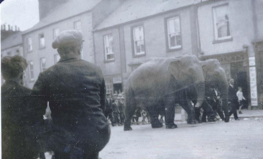 Circus elephants taking a stroll up Main Street in the early thirties.