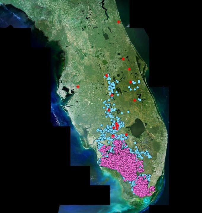 Most panthers are found south of Lake Okeechobee No females have been confirmed north of Lake Okeechobee