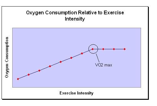 Carbohydrate depletion is not a major factor of fatigue for
