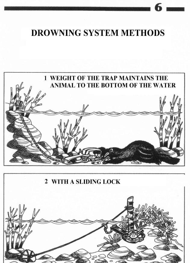 For example, a leg-hold trap for muskrat must be connected to a drowning system; in the manual, this system consists simply of the weight of the trap