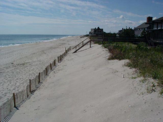 The linear vegetation boundary represents the 2005 2006 winter erosion of the dune with the dune slope sand put back using a bulldozer to harvest sand from the storm recovery deposit on the beach.