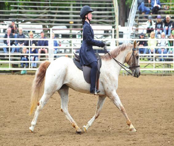 2016 OHSET State Reserve Champion Keyhole ~