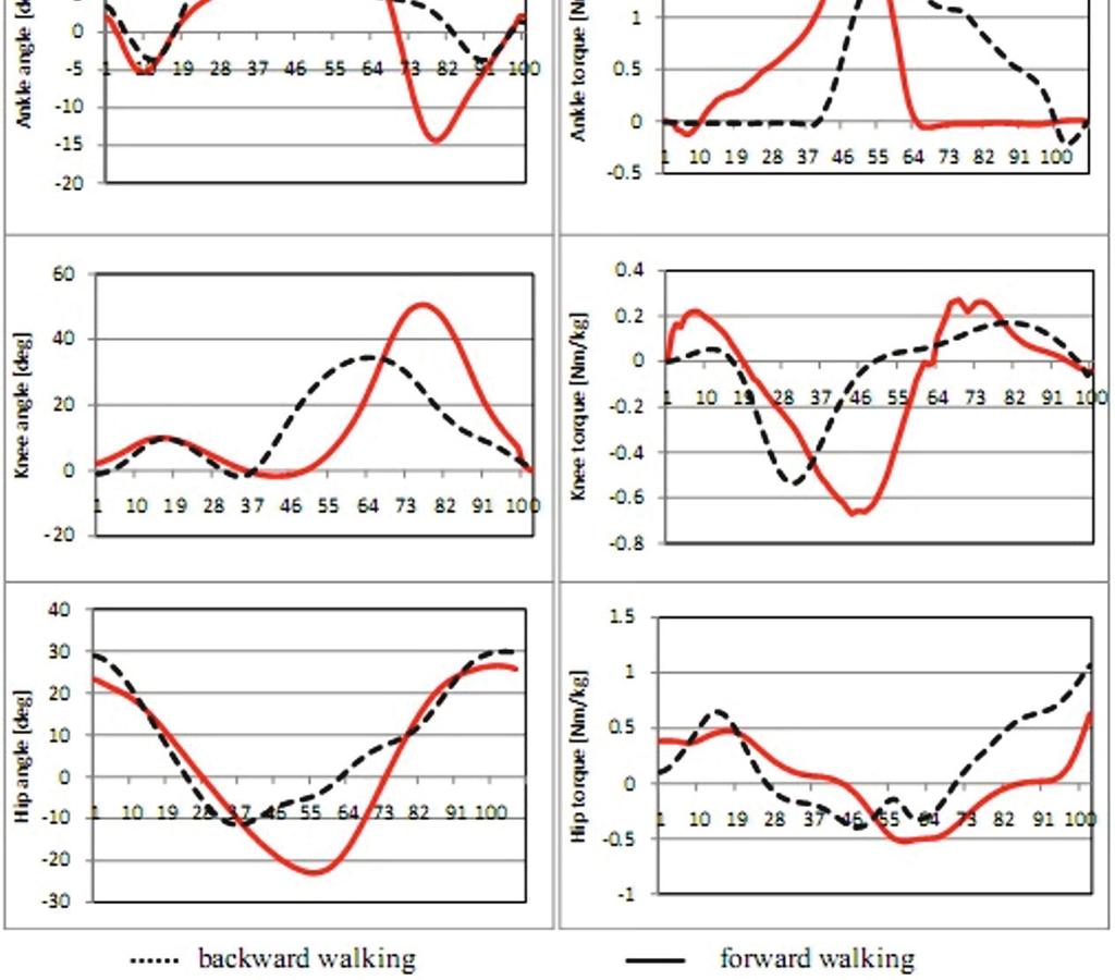 Muscle force distribution during forward and backward locomotion 5 Fig. 1. Kinematic and kinetic parameters for ankle, knee and hip joint during FW and BW 3.2.