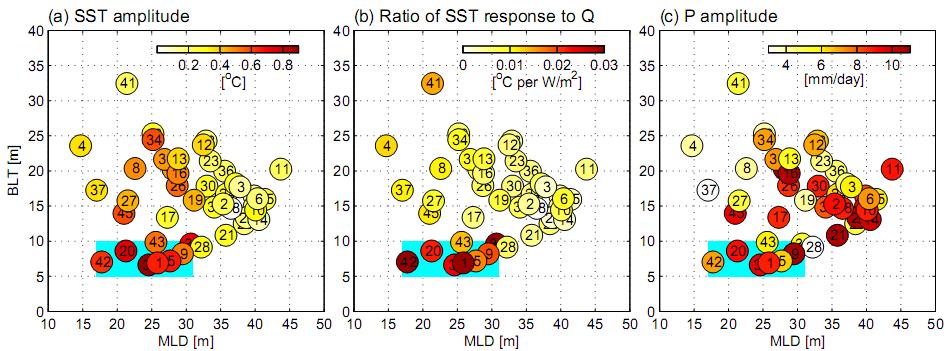 Two extreme events: impact from MLD and BLT (b) Impact of MLD and BLT on MISO SST and rainfall amplitude When both MLD and BLT are small, the SST response