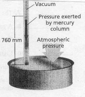 Section 13.1 continued In your textbook, read about gas pressure. Circle the letter of the choice that best completes the statement or answers the question. 13. Pressure is defined as force per unit a.