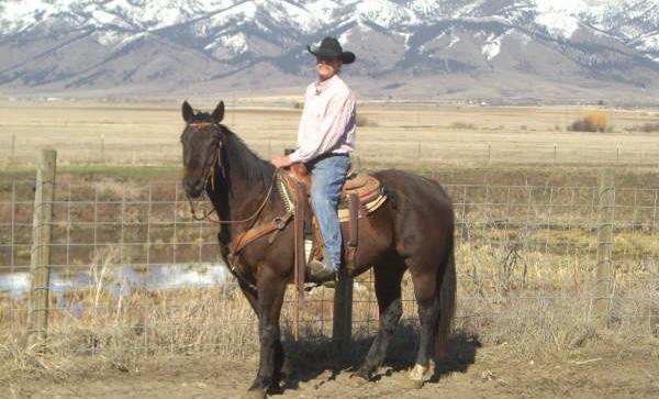 never bucked. Has 120 days reining training but has spent the last 8 months in the pasture.