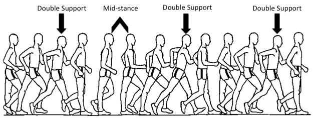 Appendix A: Literature Review Race walking (RW) is a form of upright locomotion that differs from normal walking by its form dictated by the International Amateur Athletics Federation (IAAF).