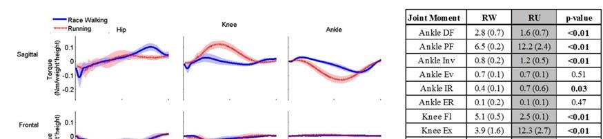 The hip abduction moment during RU shows there was a greater net moment force occurring during stance than during RW.
