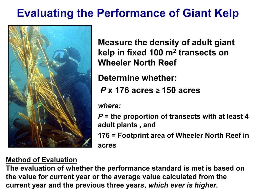 The performance standard for giant kelp is evaluated by measuring the density of giant kelp in the fixed transects across the entire Wheeler North Reef.