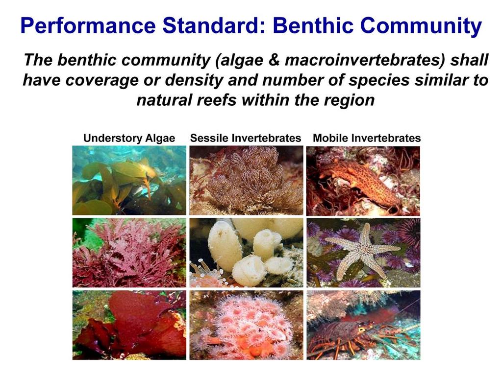 The performance standard for the benthic community is a relative standard that requires the abundance and number of