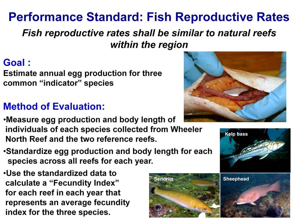 The rationale for the performance standard pertaining to fish reproductive rates is that for artificial reefs to be considered successful, fish must be able to successfully reproduce.