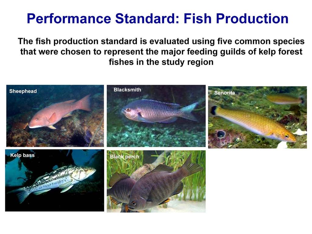 We use five indicator species to estimate fish production on Wheeler North, San Mateo and Barn.