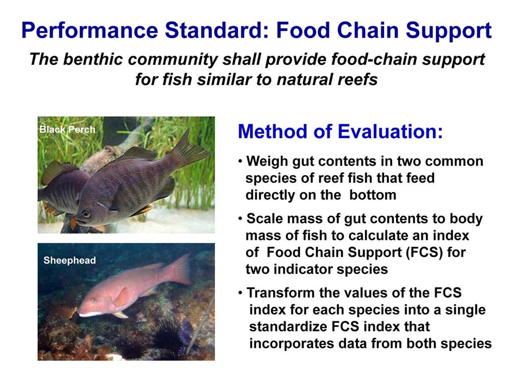 There is also a performance standard that requires the benthic community of the Wheeler North reef to provide food for the fishes that feed on the reef in an amount that is similar to that provided