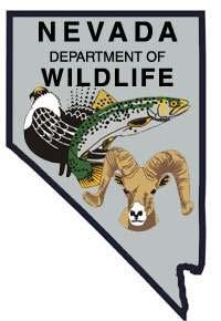 NEVADA DEPARTMENT OF WILDLIFE STATEWIDE