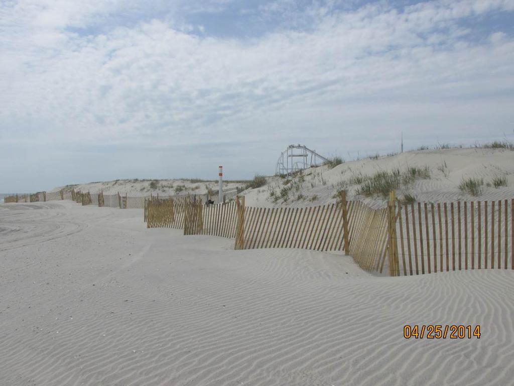 Figure 16. A close up view of the dune looking to the south from the dunetoe located near 22 nd Avenue on April 25, 2014.