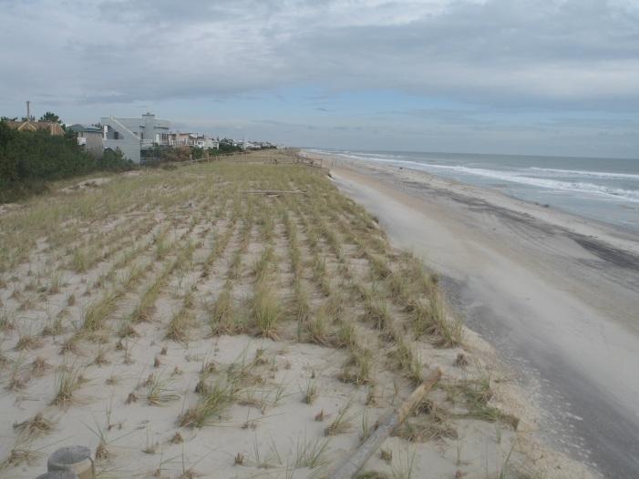 This site had recently received sand as part of the USACE beach restoration program for Long Beach Island.