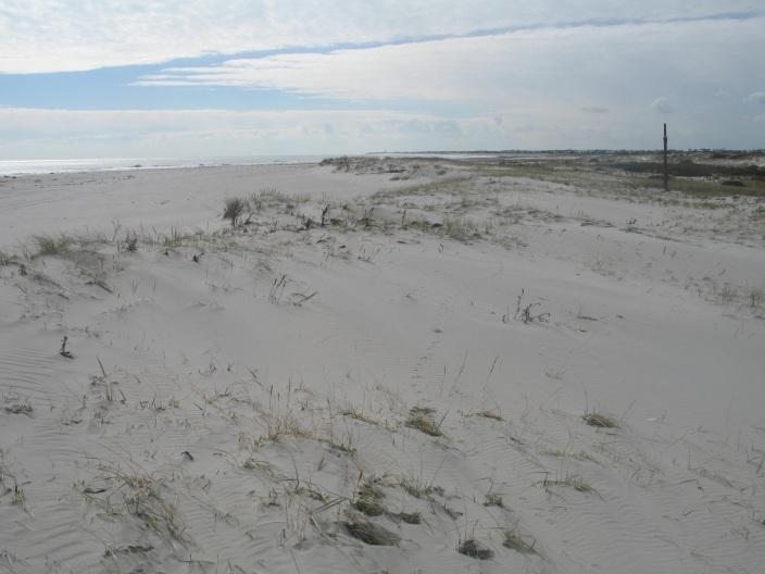 In the photo on the right taken on November 2, 2012 from the same location looking south post Sandy shows the impact of the storm which is evident from the sand overwashed and blown landward across