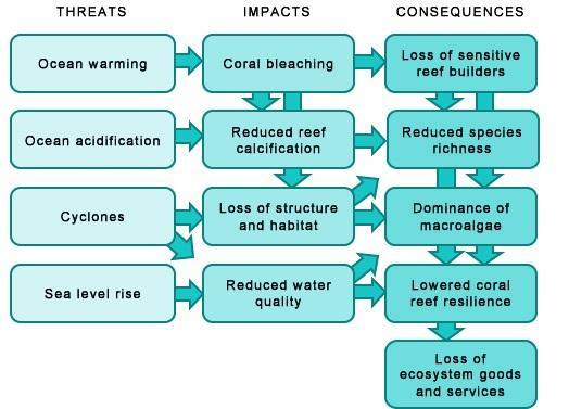 Coral Reef Threats Threats to Coral Reefs, Their Impacts and Consequences