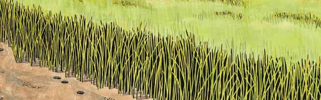 Spartina grass has strong, deep roots to hold it firmly in the ground during heavy winds and tide changes. The grass blades are also long and narrow to bend easily during high winds.