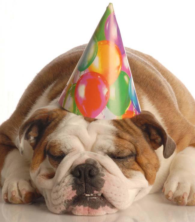 Splash Parties @ RCBC Birthdays Special Events Call (609)