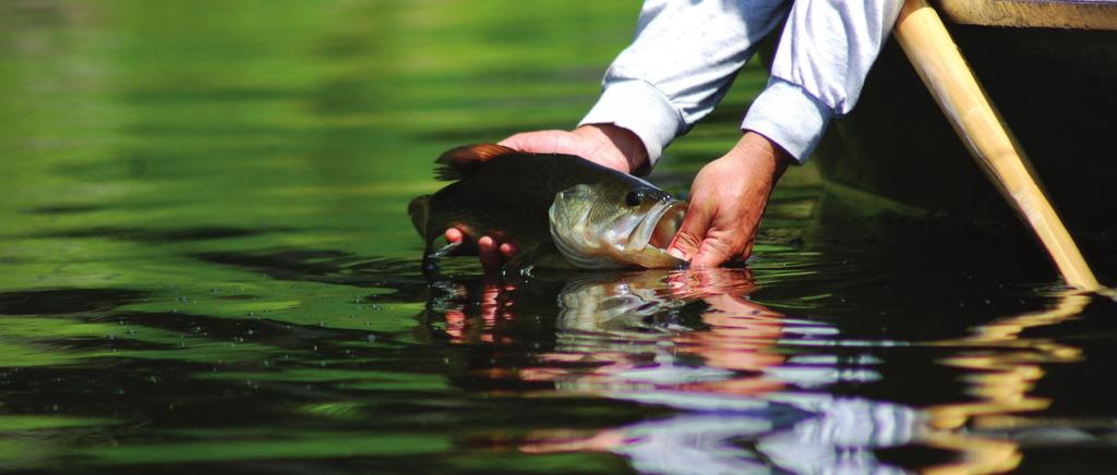 EXECUTIVE SUMMARY For over 75 years, the Federal Aid in Sport Fish Restoration Fund has worked with state partners to conserve, protect, and enhance fish and their habitats, along with the sport
