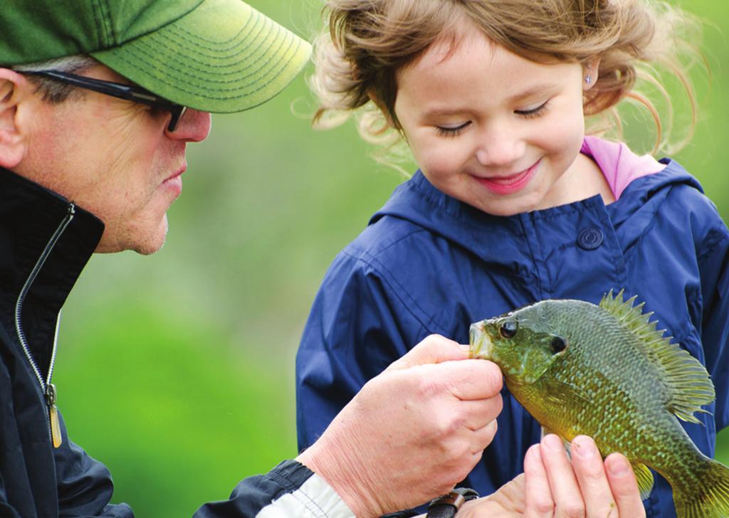 However, while nationwide angling numbers have risen, Illinois has experienced a decrease in the number of fishing license sales, as well as angling participants.