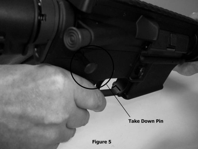 Maintaining your AM Model Firearm Rifle Disassembly WARNING: BEFORE DISASSEMBLY, REMOVE THE MAGAZINE, CLEAR THE CHAMBER AND MAKE SURE THE FIREARM IS IN THE SAFE POSITION.
