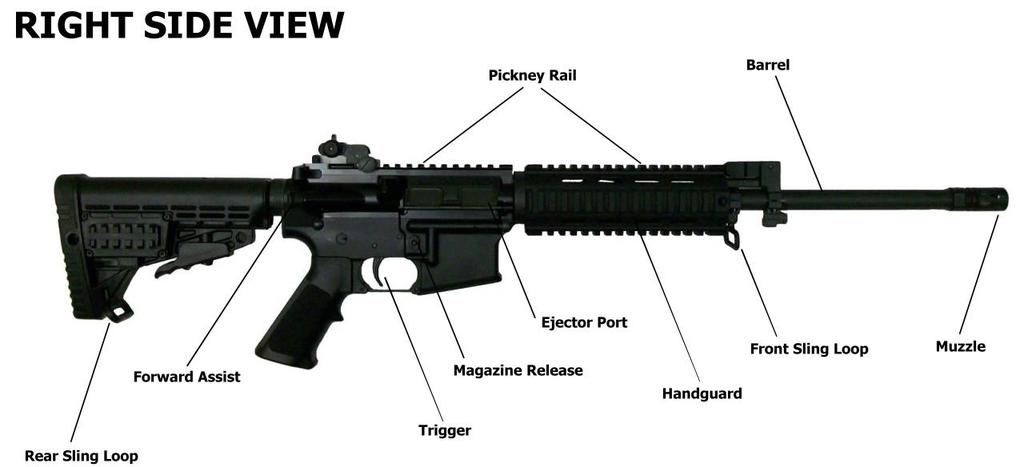 Parts of Your Rifle The