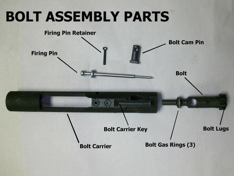 Figure 4 Operating your AM Model Firearm Safety Selector The