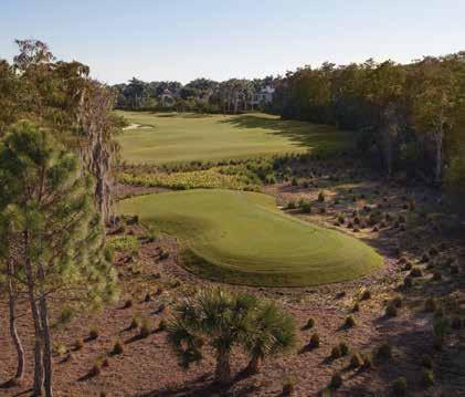 The Bay Colony Golf Course borders the Cocohatchee Strand Nature Preserve and, in the words of von Hagge, Water and nature preserves add dramatic beauty to many of the Bay Colony Golf Club holes.