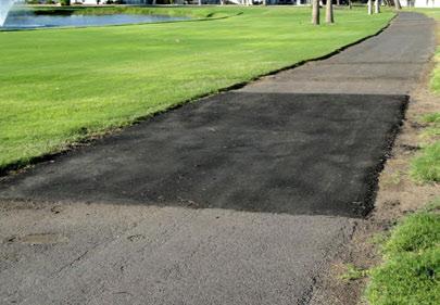 CART PATHS 1. Cart paths will be kept clean and edged on a monthly basis. 2. Surface of all paths will be maintained in good order. 3.