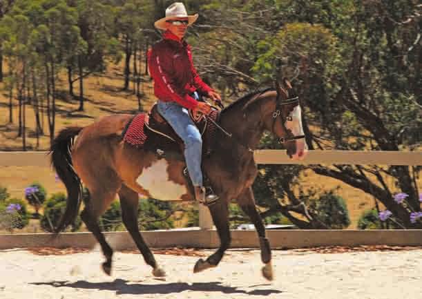 Circling a horse in two or three circles in each direction and switching sides often allows the horse to focus on your request, while developing guidance and leadership before you mount.