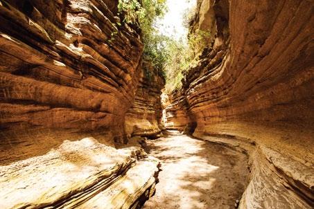hiking, biking, and rock climbing. Located between Lake Naivasha and the Longonot and Suswa volcanoes, the park is famous for its geothermal station and spectacular gorges and rock formations.