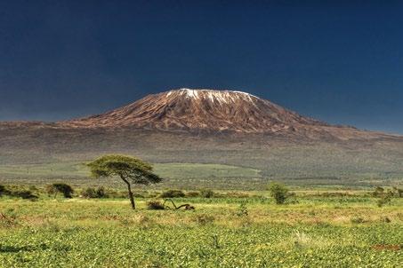 Day 4 - Lake Nakuru National Park to Amboseli National Park Today your safari continues to Amboseli National Park near the majestic Mount Kilimanjaro, with its snow-capped Uhuru Peak towering over