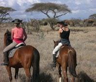 2 nights Solio Lodge 1 night Desert Rose 2 nights Sasaab From price: $10,395 per adult sharing Our from price includes all internal flights, transfers, park and conservation fees, game drives, all