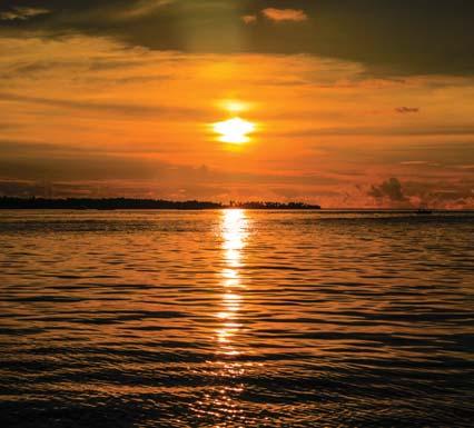Take this chance to enjoy a unique boat ride around the Rasdhoo Atoll during Maldivian sunsets with a glass of sparkling wine.