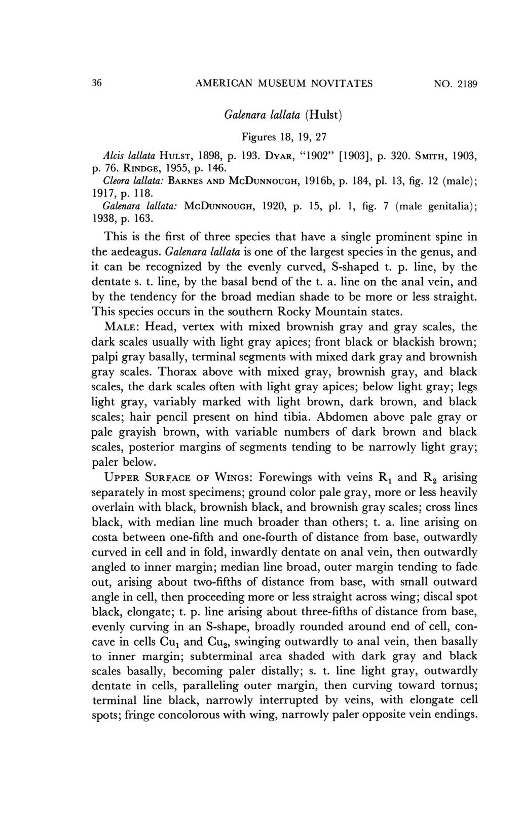 36 AMERICAN MUSEUM NOVITATES NO. 2189 Galenara lallata (Hulst) Figures 18, 19, 27 Alcis lallata HULST, 1898, p. 193. DYAR, "1902" [1903], p. 320. S MITH, 1903, p. 76. RINDGE, 1955, p. 146.