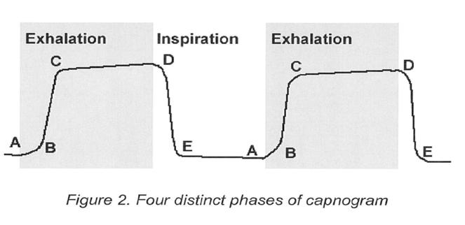 Phases of the Capnogram A-B: Exhalation of CO2 free gas