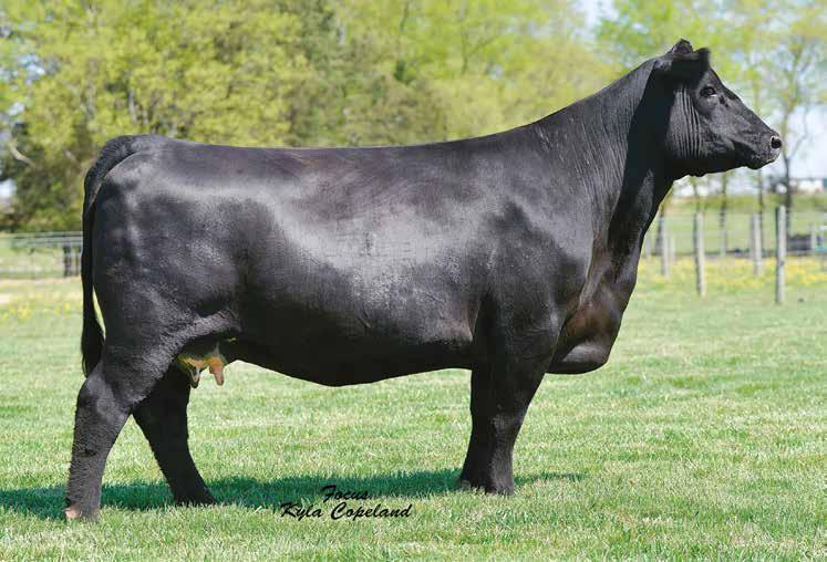 SJH COMPLETE OF 6108 1522 The $120,000 donor dam of Lot 3 featured in the Express Ranches and Double R Bar Ranch programs.