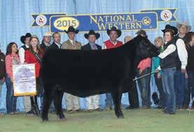 selling bred cow of the 2016 Pollard Farms Sale selected by Broken Arrow Angus Ranch; Saras Dream 1349 the former show heifer for Katelyn Boyd; and Saras Dream 1339, the dam of the reigning National