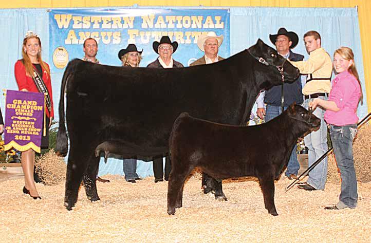 EXAR FRONTIER GAL 7683 The $150,000 maternal sister to Lot 50 selected as the topselling open heifer of the 2017 Big Event by Whitney Walker. 56 EXAR FRONTIER GAL 1405 Donor dam of Lot 50.